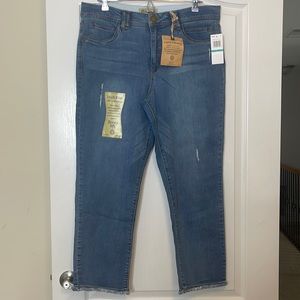 Democracy AbTechnology High Rise Jeans 16
